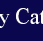 McCarthy Catholic College Tamworth - Education Perth