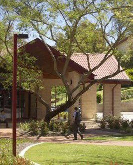 Newman College - Marcellin Campus - Education Perth 3