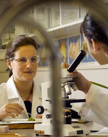 Siena College - Education Perth 2