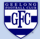 GEELONG FOOTBALL CLUB - Education Perth 0