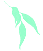 Horticultural Training Pty Ltd - Education Perth