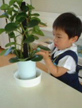 Australian Montessori Society - Education Perth 3