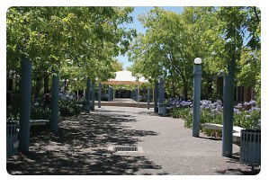 Mary MacKillop College - Education Perth 1