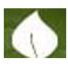 SA COLLEGE OF NATURAL AND TRADITIONAL MEDICINE PTY LTD