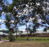 Clayton View Primary School - Education Perth