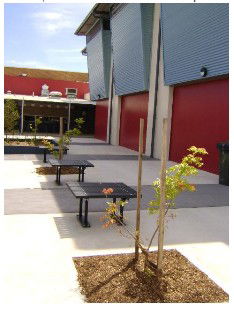 Wellington Secondary College - Education Perth 1