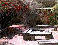Cecil Andrews Senior High School - Education Perth 0