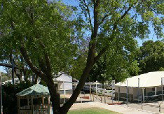 Bindoon Primary School - Education Perth 1
