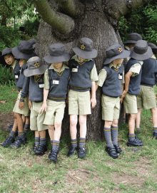 Sydney Grammar St Ives Preparatory School - thumb 3