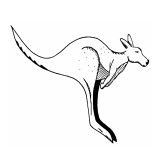 Mcharg Creek SA Education Perth