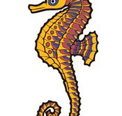 Seaview Downs Primary School - Education Perth