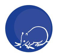 Mylor SA Education Perth