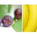 Beck Health  Nutrition - Education Perth