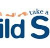 Child Side School - Education Perth