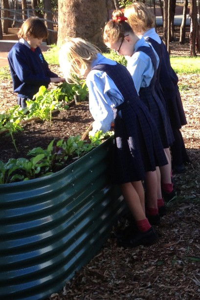 Good Shepherd Catholic Primary School Kelmscott - Education Perth 3