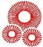 Durham Road School Bayswater