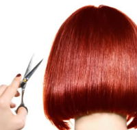 The Angel Hair  Beauty Institute- Hair  Beauty School Ballarat - Education Perth
