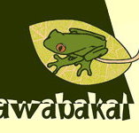 Awabakal Environmental Education Centre - Education Perth