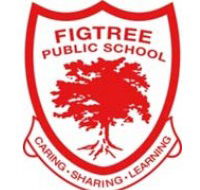 Figtree Public School - Education Perth