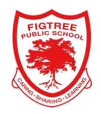 Figtree Public School - Education Perth 0