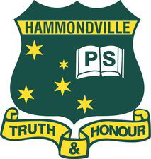 Hammondville NSW Education Perth