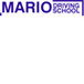 Mario Driving School
