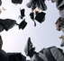 People Plus - Education Perth