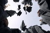 People Plus - Education Perth 0