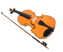 Violin Sports North Perth