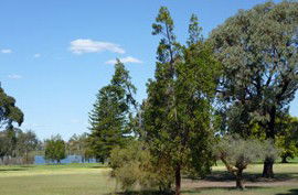 Lake Monger Primary School - Education Perth 0