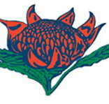 Hurstville South Public School - Education Perth
