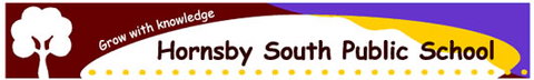 Hornsby South Public School - Education Perth 0