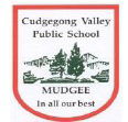Cudgegong Valley Public School - Education Perth