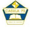 Casula Public School - Education Perth