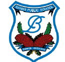 Banks Public School - Education Perth