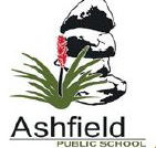 Ashfield Public School - Education Perth