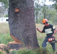 Steve Smith Chainsaw Training - Education Perth