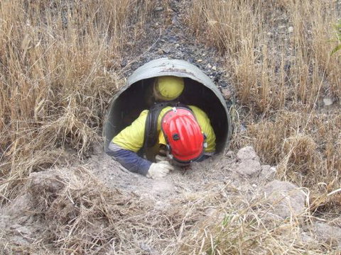 Emergency Risk Management Queensland - Education Perth 3