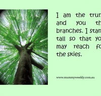 Mummy Weekly - Education Perth