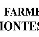 Farmhouse Montessori School - Education Perth