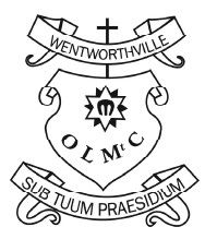 Our Lady Of Mount Carmel Primary School Wentworthville - Education Perth 0