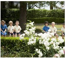 St Angela's Primary School - Education Perth 1