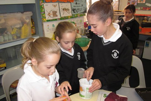 Holy Rosary School Doubleview - Education Perth 2