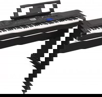 Alive Music - Education Perth