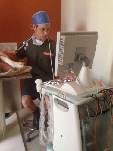 Pacific Vetcare - Education Perth 1