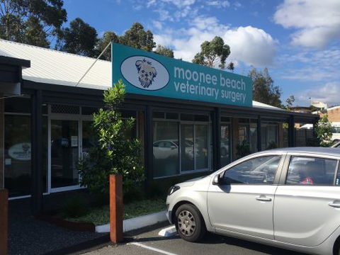 Moonee Beach Veterinary Surgery - Education Perth 0