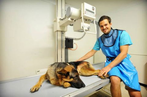 Pacific Vetcare - Education Perth 0