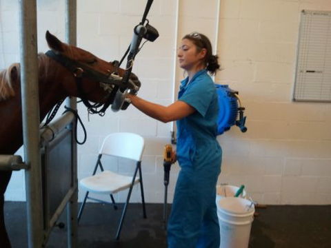 Pacific Vetcare - Education Perth 9