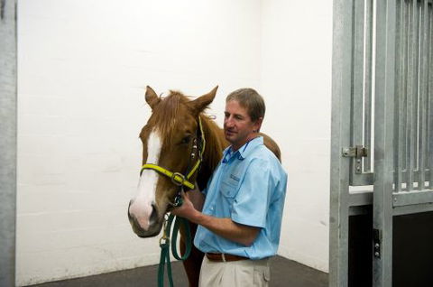 Pacific Vetcare - Education Perth 2