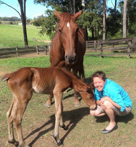 Pacific Vetcare - Education Perth 5